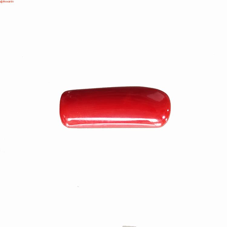 Red Coral Premium Large Size